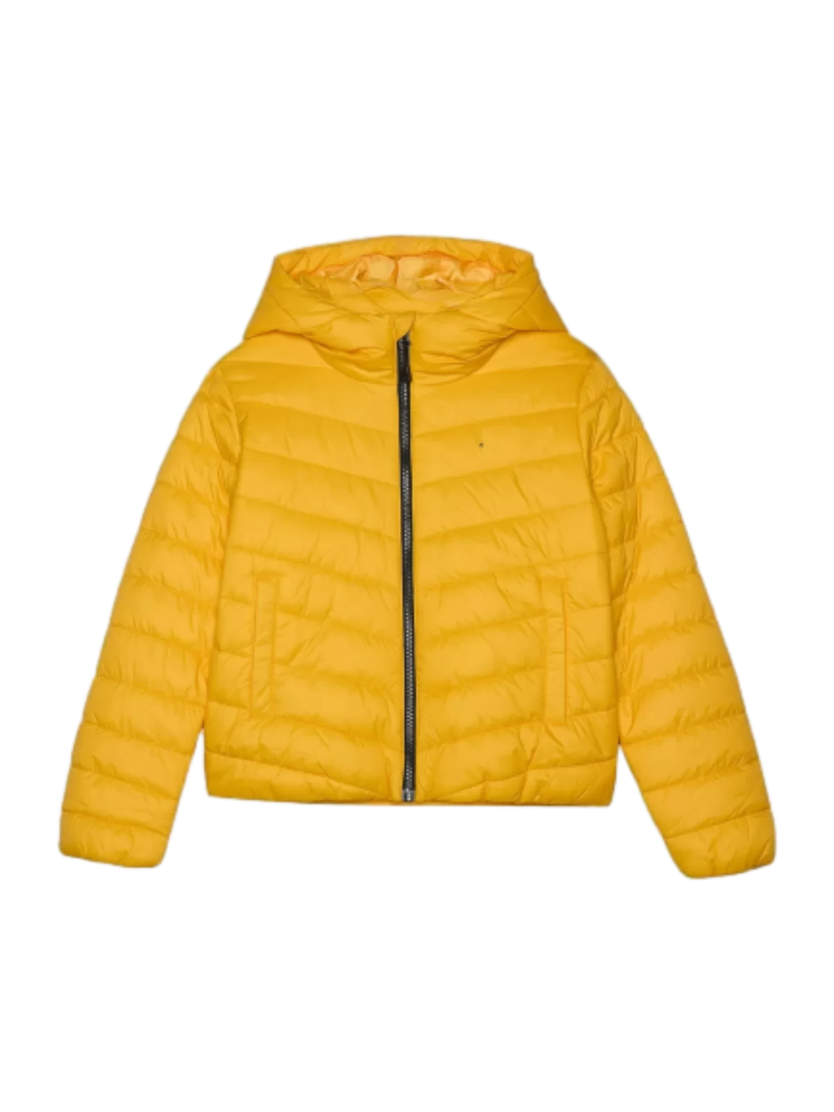 OEM Waterproof Padded Puffer Jacket For Junior